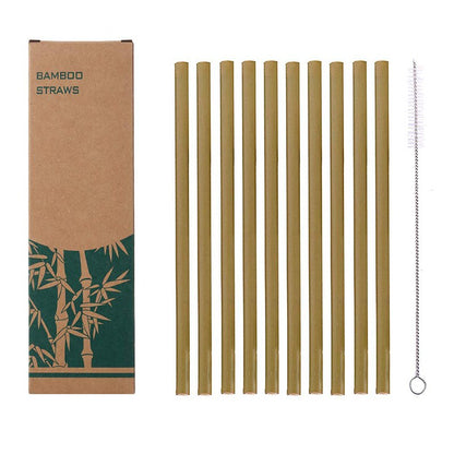 Natural organic bamboo straw set
