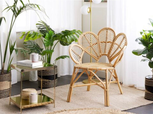 Natural Rattan Chair with Peacock Backrest - Forplanetsake